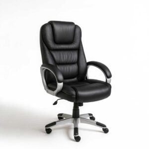 Elvane office chair